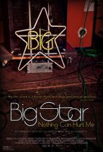 Watch Big Star: Nothing Can Hurt Me Alluc