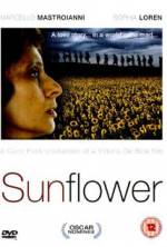 Watch Sunflower Online 123movieshub