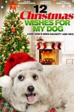 Watch 12 Christmas Wishes For My Dog 123movieshub