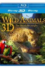 Watch Wild Animals - The Life of the Jungle 3D 123movieshub