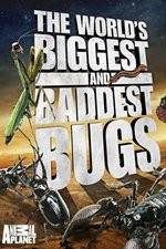 Watch Worlds Biggest and Baddest Bugs 123movieshub