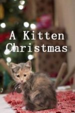 Watch A Kitten Christmas 123movieshub