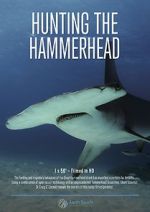 Watch Hunting the Hammerhead Online 123movieshub