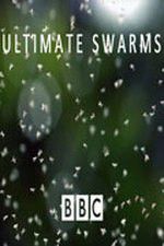 Watch Ultimate Swarms 123movieshub