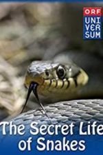 Watch The Secret Life of Snakes 123movieshub