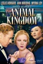 Watch The Animal Kingdom 123movieshub