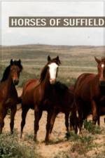 Watch Horses of Suffield 123movieshub