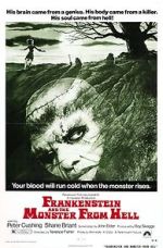 Watch Frankenstein and the Monster from Hell 123movieshub