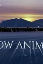 Watch Snow Animals 123movieshub