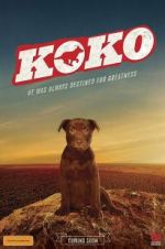 Watch Koko: A Red Dog Story 123movieshub