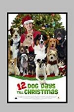 Watch 12 Dog Days Till Christmas 123movieshub