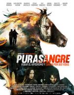Watch Purasangre Online 123movieshub