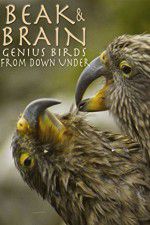 Watch Beak & Brain - Genius Birds from Down Under 123movieshub