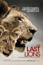 Watch The Last Lions 123movieshub