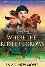 Watch Where the Red Fern Grows 123movieshub