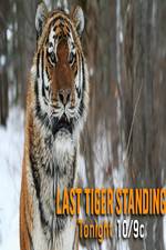 Watch Discovery Channel-Last Tiger Standing 123movieshub