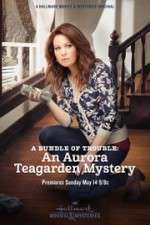 Watch A Bundle of Trouble: An Aurora Teagarden Mystery 123movieshub