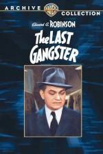 Watch The Last Gangster 123movieshub