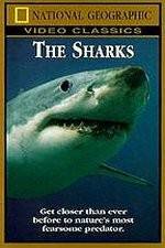 Watch National Geographic The Sharks 123movieshub