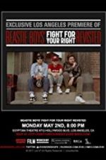 Watch Beastie Boys: Fight for Your Right Revisited 123movieshub