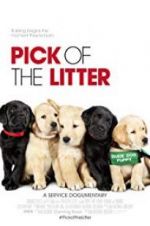 Watch Pick of the Litter 123movieshub