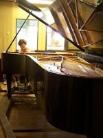 Watch Note by Note: The Making of Steinway L1037 123movieshub