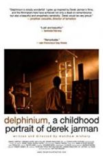 Watch Delphinium: A Childhood Portrait of Derek Jarman 123movieshub