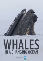 Watch Whales in a Changing Ocean (Short 2021) 123movieshub