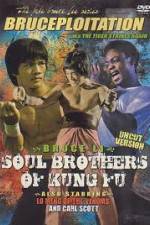 Watch Soul Brothers of Kung Fu 123movieshub
