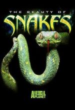 Watch Beauty of Snakes Online 123movieshub
