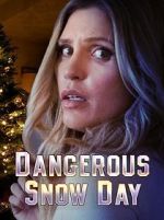 Watch Dangerous Snow Day Online 123movieshub