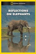 Watch Reflections on Elephants 123movieshub