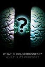 Watch What Is Consciousness? What Is Its Purpose? 123movieshub