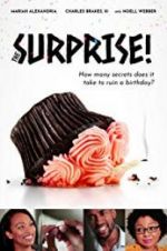 Watch The Surprise! 123movieshub