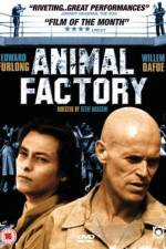 Watch Animal Factory 123movieshub