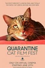 Watch Quarantine Cat Film Fest 123movieshub