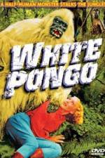 Watch White Pongo 123movieshub