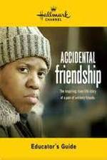 Watch Accidental Friendship 123movieshub