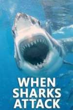 Watch When Sharks Attack 123movieshub