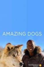 Watch Amazing Dogs 123movieshub