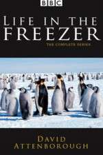 Watch Life in the Freezer 123movieshub
