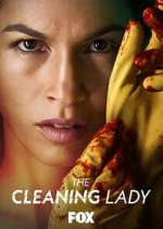 Watch 123movieshub The Cleaning Lady Online