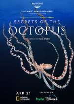 secrets of the octopus tv poster