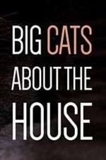 Watch Big Cats About the House 123movieshub