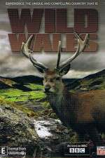 Watch Wild Wales 123movieshub