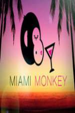 Watch Miami Monkey 123movieshub