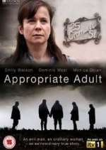 appropriate adult tv poster