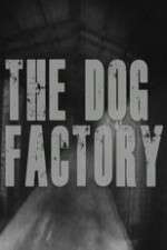 Watch The Dog Factory 123movieshub
