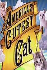 Watch America's Cutest Cat 123movieshub