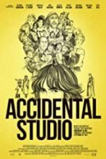 Watch An Accidental Studio 123movieshub